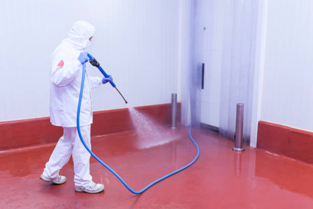 Best Dumpster Area Cleaning  in Houston, TX